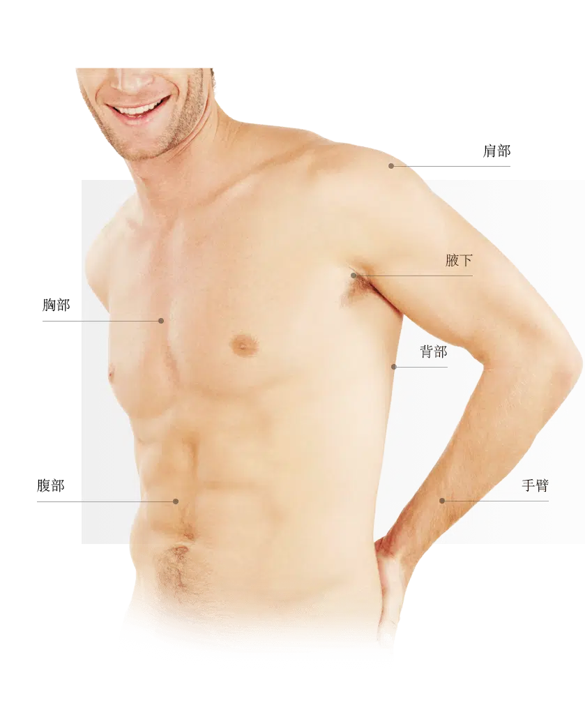 Epilation zones ventre homme